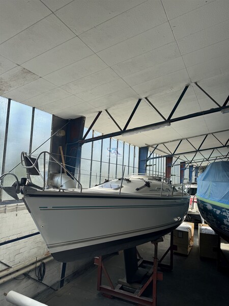 Dehler 36 CWS Halle 3 Dehler Dehler 36 Match Race