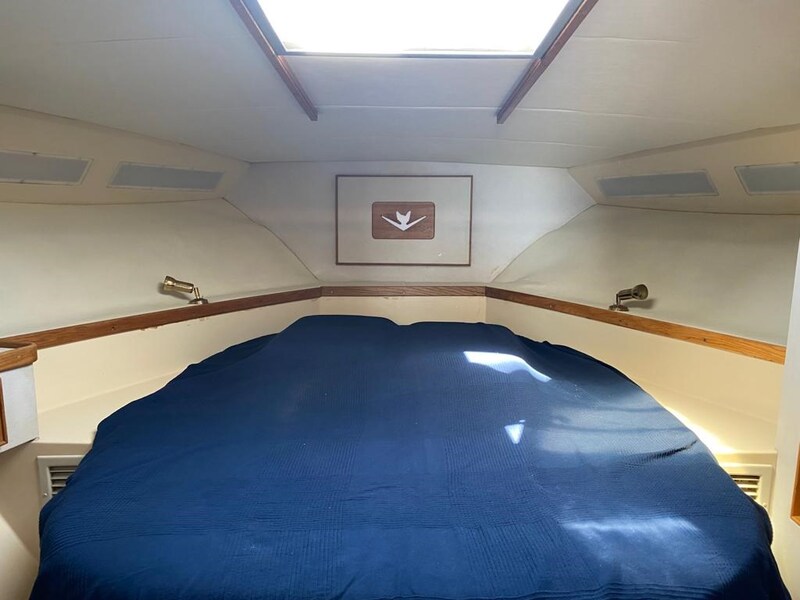 {I} cabin Bertram Yacht 37' Convertible