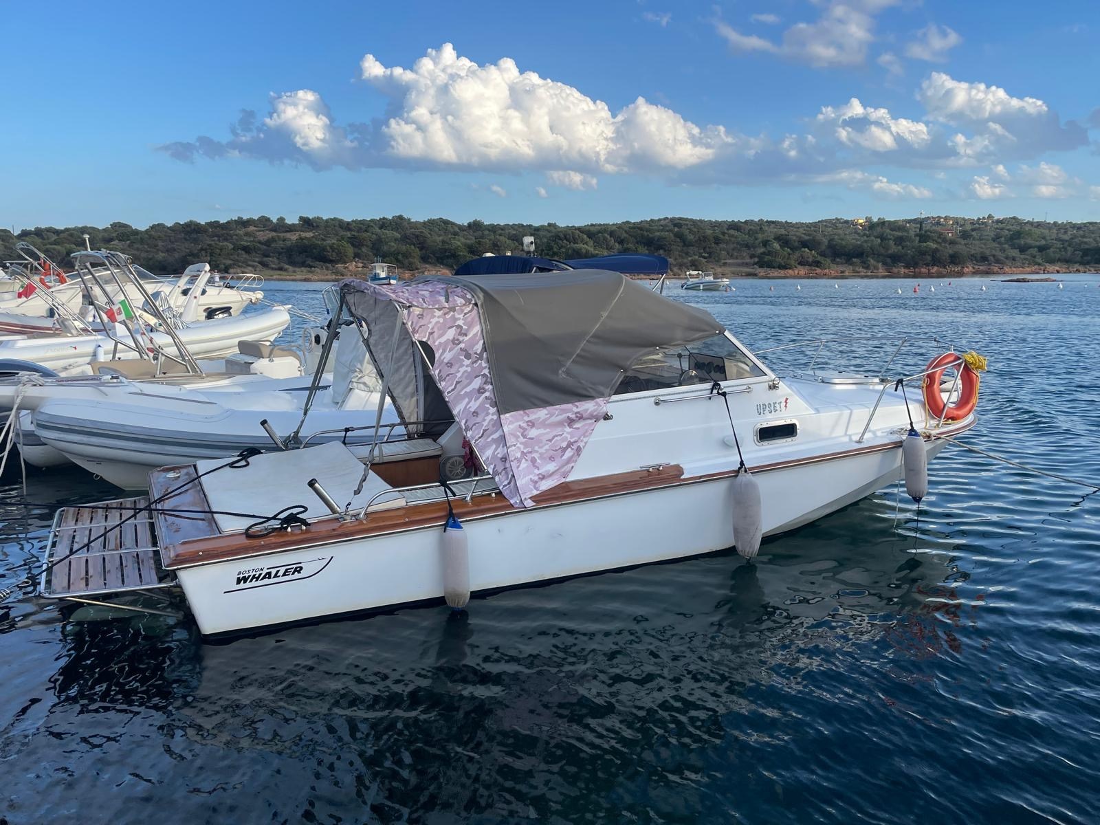 Boston Whaler 22 REVENGE à vendre