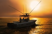  Bluewater Sportfishing 2850