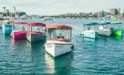  Vision Fantail 217