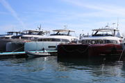 Cannes Yachting Festival 2019 Canceled boat fairs and events during the summer and autumn of 2020